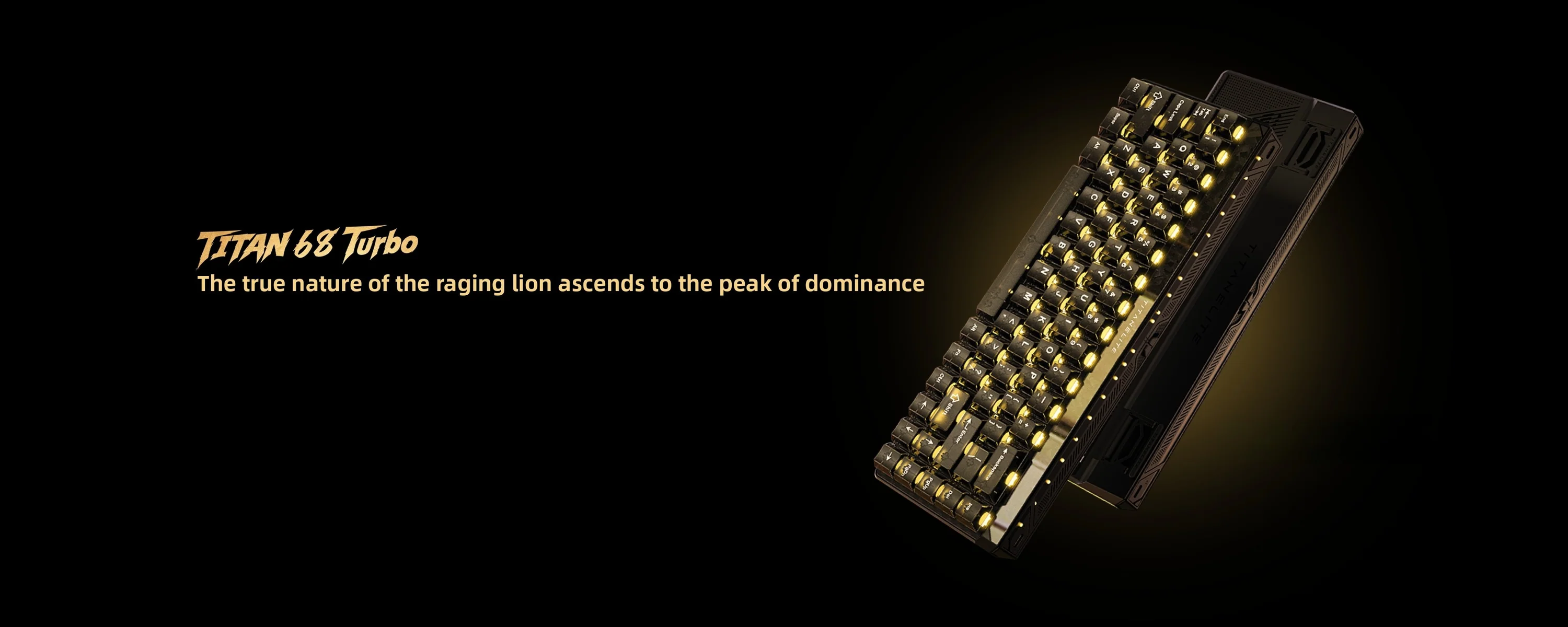 Master Every Click with MADLIONS